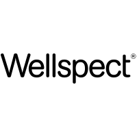 Wellspect GmbH